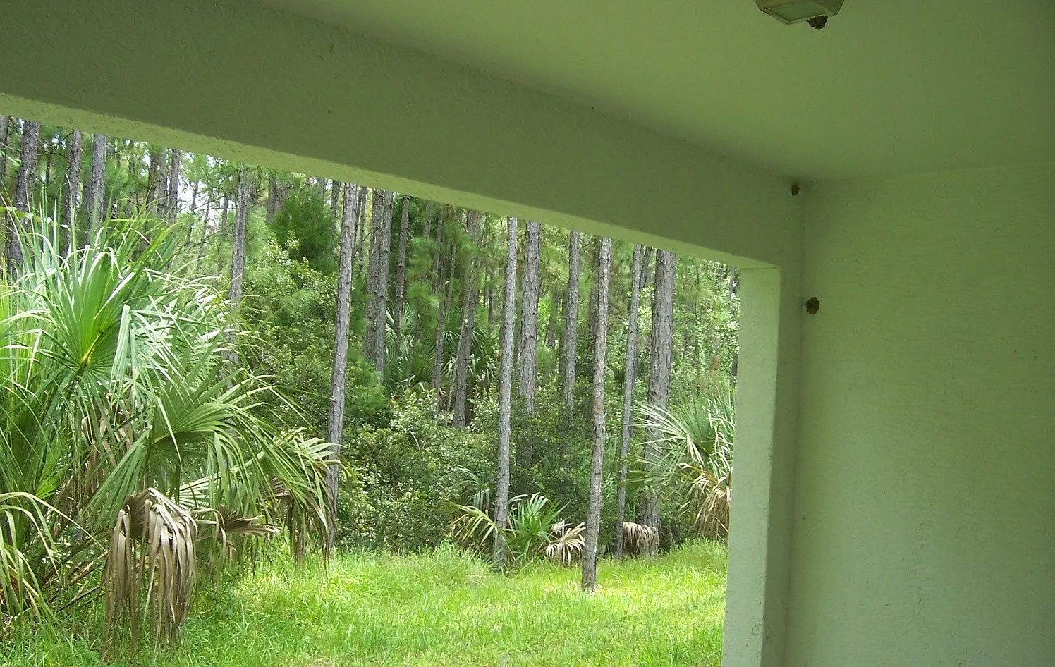 Spacious 3-Bedroom Duplex with Garage & Beautiful Backyard — Photo 3