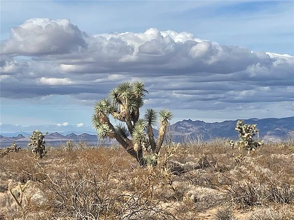 3rd image of 242-10 S Gene Autry Rd #7