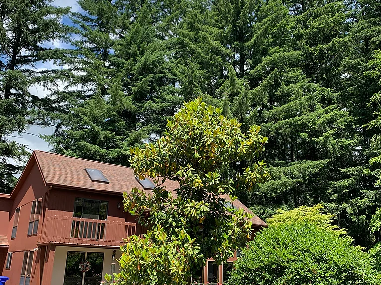 88843 Ross Ln — Photo 7