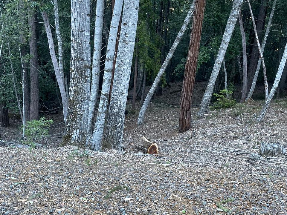 27715 Fox Rd, Willits, CA 95490 MLS 323003646 Zillow