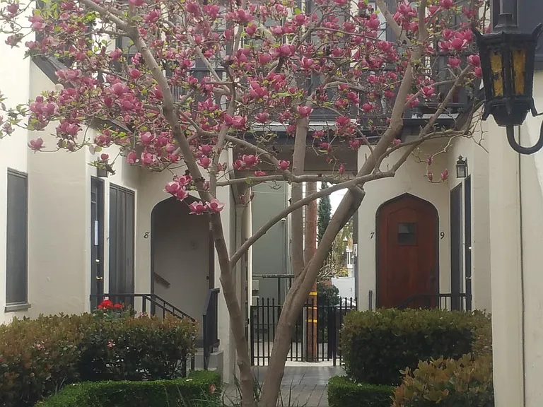 108 Roswell Ave #1 — Photo 15