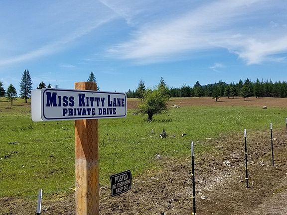 3rd image of 161 Miss Kitty Ln