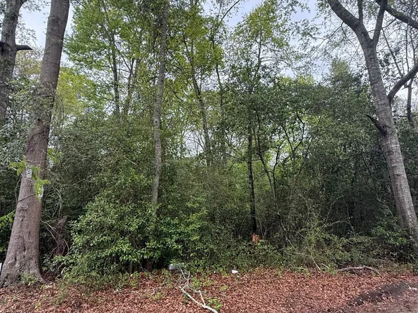 0 Ash Aly, Danville, GA 31017