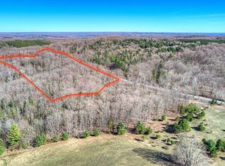 PARCEL Honey Hollow Rd #C, Bellaire, MI 49615