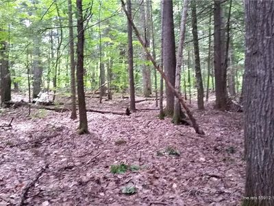 Map 29/10a Greeleys Landing Rd, Dover Foxcroft, ME, 04426
