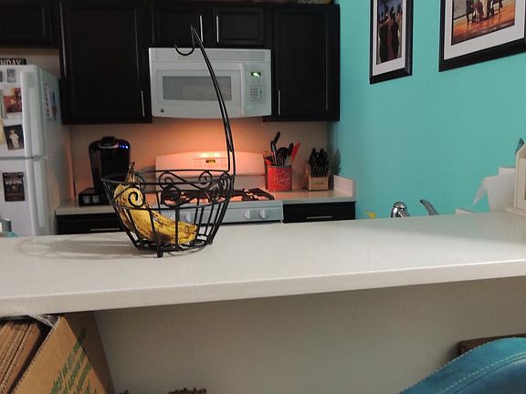 4th image of 25 Senate Pl APT 362