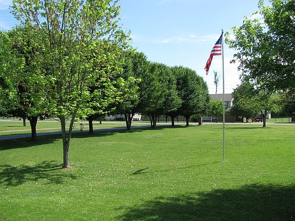 View of front yard