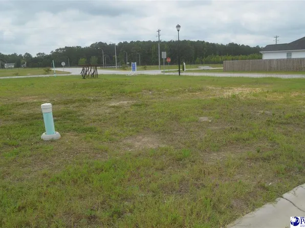 1283 Egrets Point, Hartsville, SC 29550