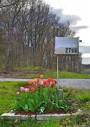 Landscaped mailbox in full spring bloom