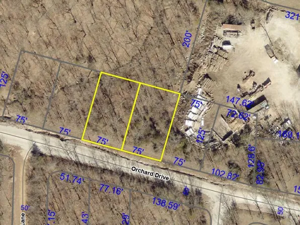 000 Orchard Drive, Ridgedale, MO 65739