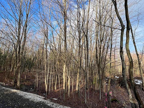 5th image of 1 Commons Rd