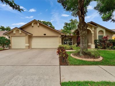 905 Balsamina Dr, Brandon, FL, 33510