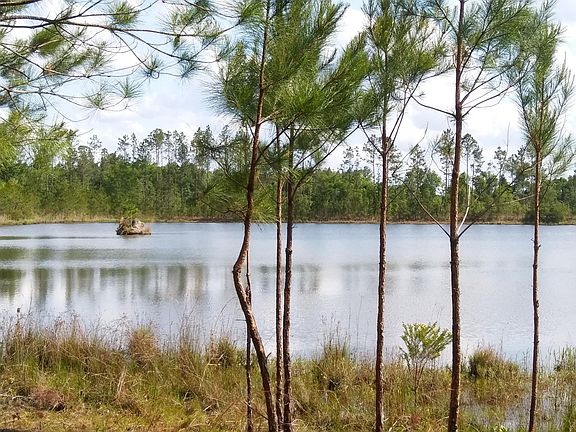 4th image of 6475 County Road 218