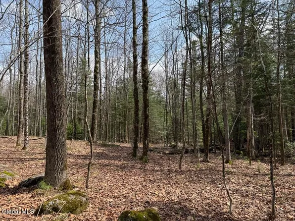 L34.3 Youngs Road #3, Schroon Lake, NY 12870