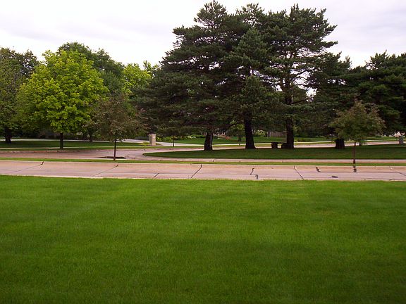 View from Front Porch