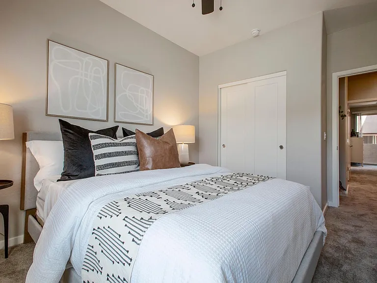 Viceroy Luxury Townhomes - New Construction — Photo 8