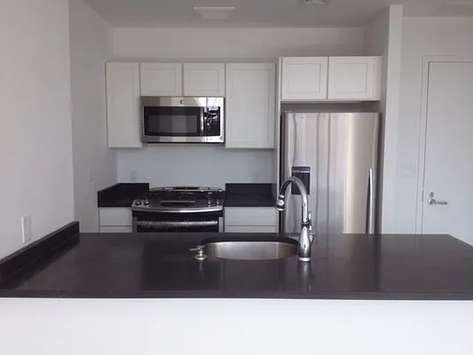 Rented by Nest Seekers International | media 11