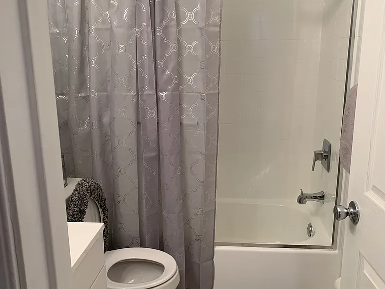 2nd Bathroom in Hallway