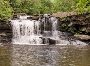 1130 County Road 376, Pisgah, AL 35765