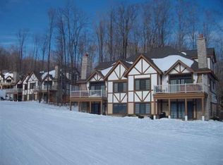 1113 N Peak Pass Dr #742, Harbor Springs, MI 49740