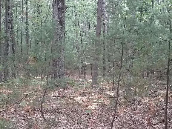 4th image of 15441 Lakeview Dr