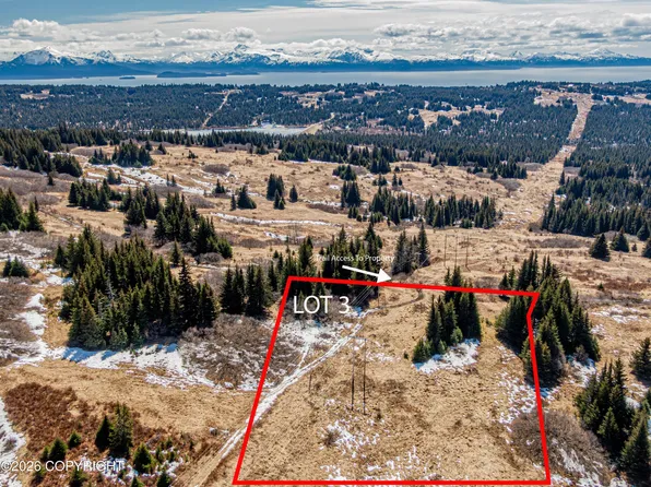 L3 Salins Spur Rd, Homer, AK 99603