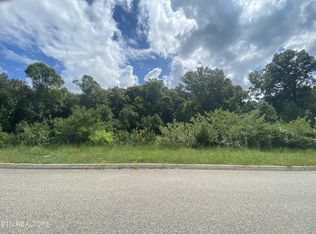 9832 Chesney Hills Ln, Knoxville, TN 37931