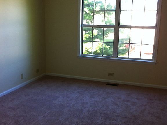 NEW carpet, paint