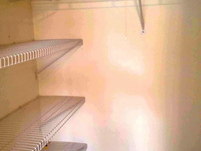 2nd bedroom has walk in closet.