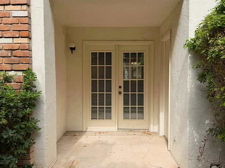 Back patio