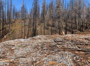 4884 Rollingwood Ct, Grizzly Flats, CA 95636