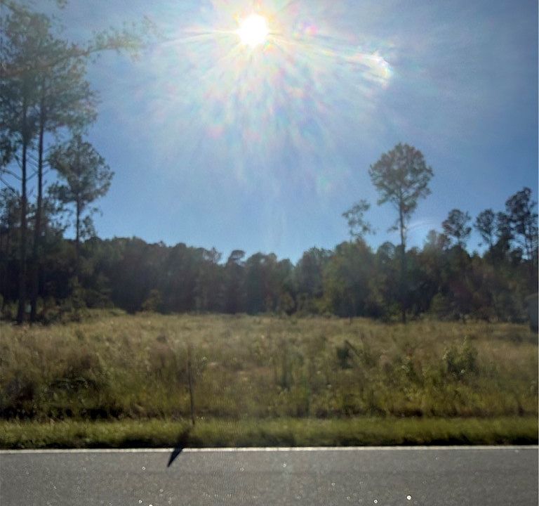 2nd image of 1291 Bill Hooks Rd
