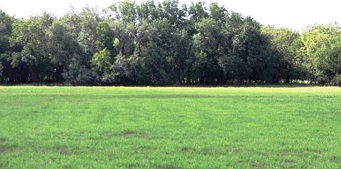 5th image of 101 County Road 418