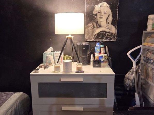 tampa-florida-45036666 picture