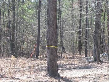 Photo of Mobile Home Lot