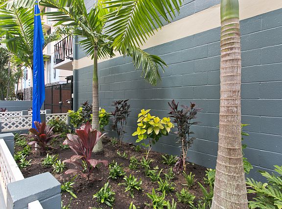 5th image of 242 Kaiulani Ave