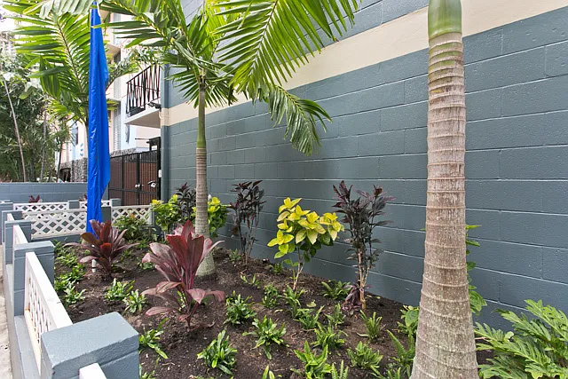 242 Kaiulani Ave — Photo 4