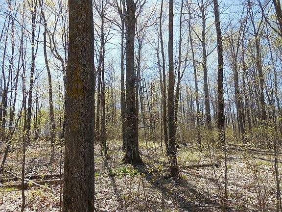 5th image of Xxx Tower Road Silver Twp