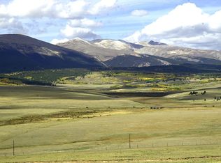 2058 Meier Ridge Trl, Fairplay, CO 80440