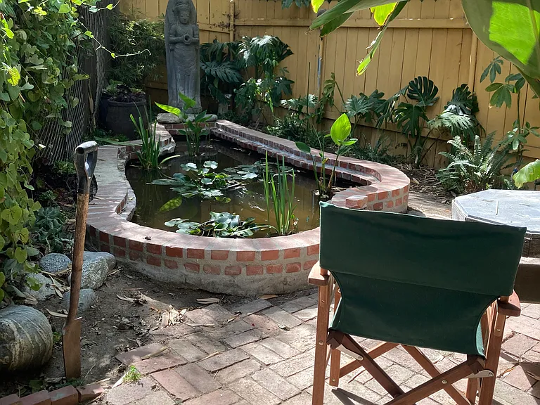 Shared garden. Huge with many places to sit. Garden ends at pond. Gold fish keep the pond clean and mosquito-free