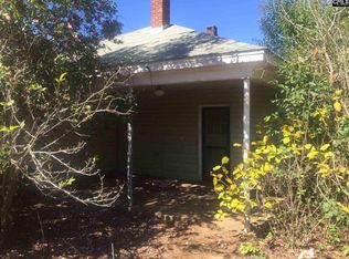 101 Water St, Chapin, SC 29036