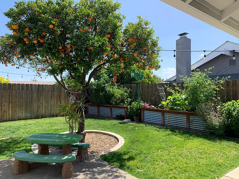 Backyard with 3 irrigated garden boxes. Prime time for harvesting.