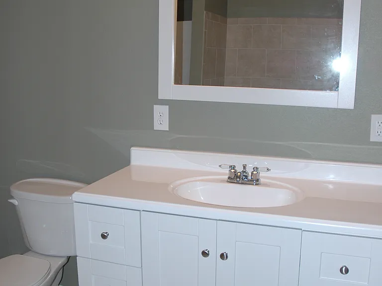 Second Bathroom (Hall)