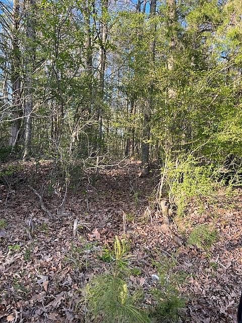 2nd image of 0 Gibson Rd