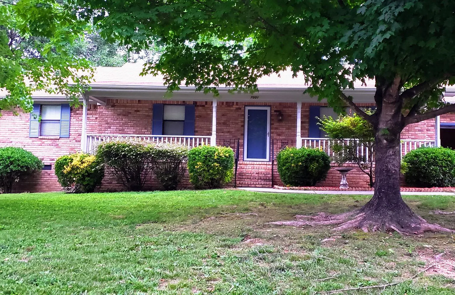 7001 Pauline Cir — Photo 1