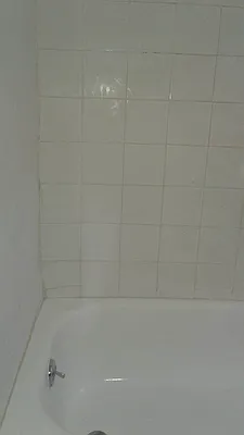 Rented by Evergreen Apartments BK | media 7