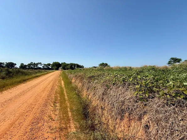 Hollis Dairy Rd Lot 1, Newton, AL 36352