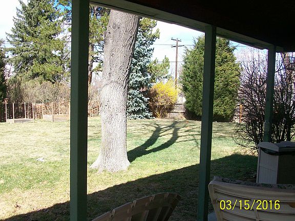 Back yard 2