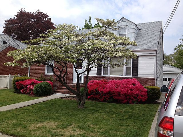 Front of house