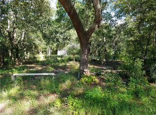 40209 Palm St, Lady Lake, FL 32159